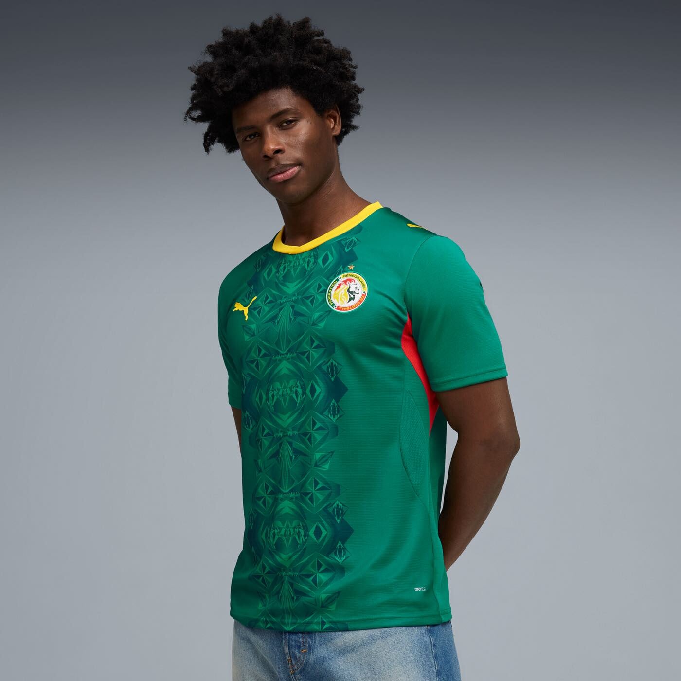 Senegal 2026 Away Jersey