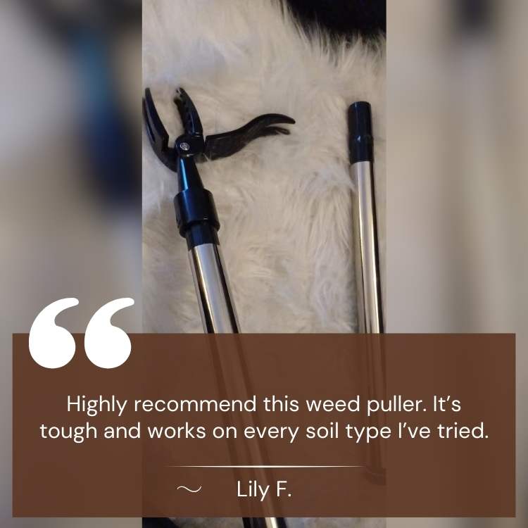 Heavy-Duty Weed Grabber