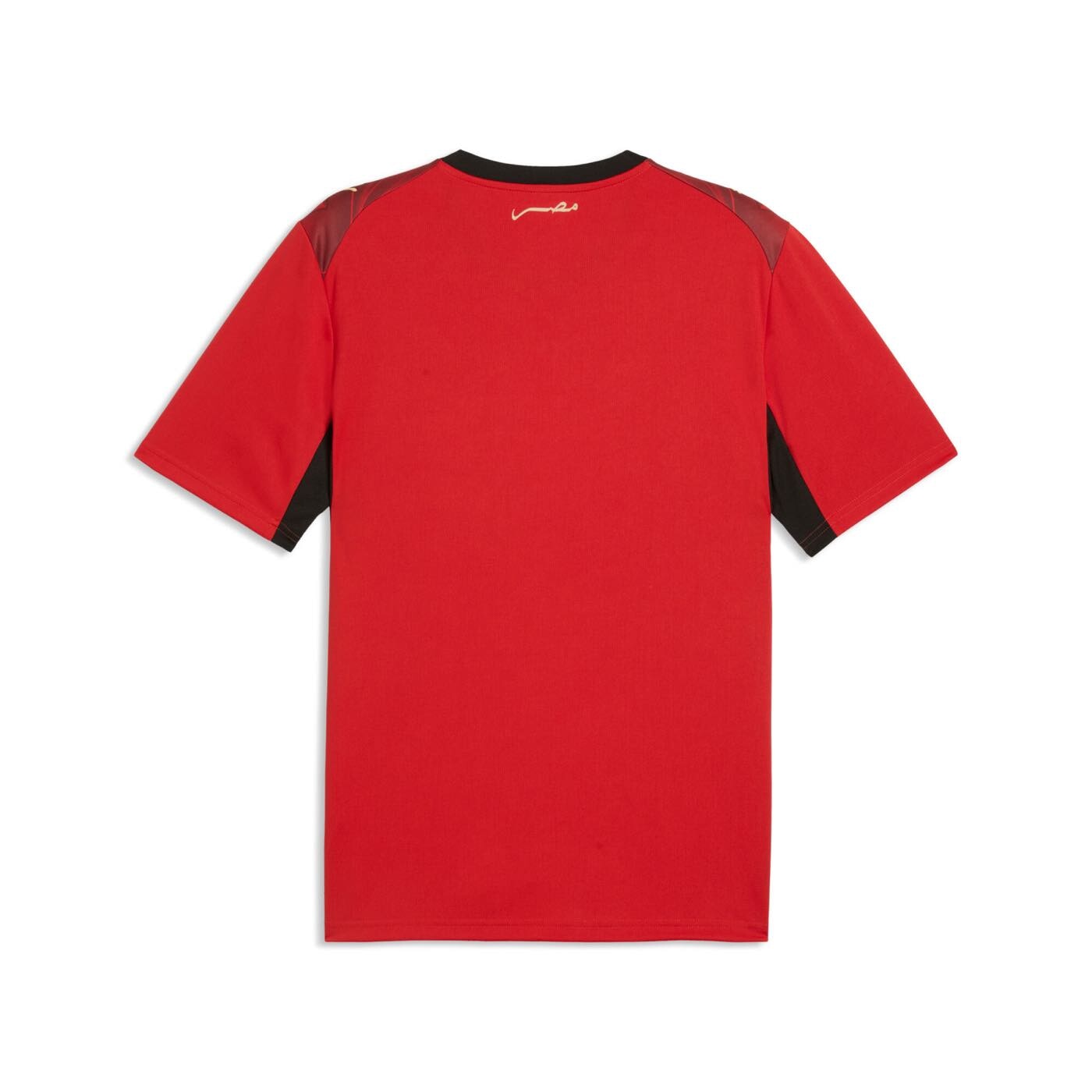 Egypt 2026 Home Jersey
