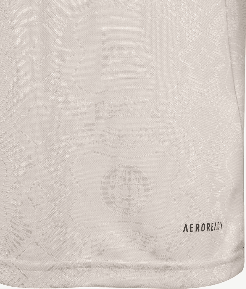 BAYERN MUNICH 2025/26 COMMERATIVE SPECIAL EDITION SHIRT