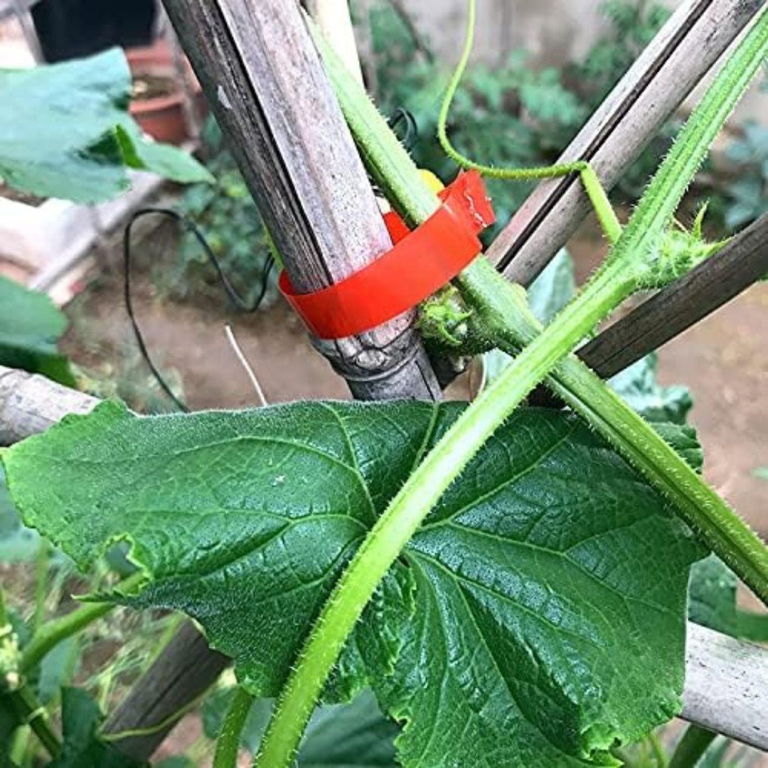 GrowGrip – Quick-Tie Garden Tool for Fast & Gentle Plant Support