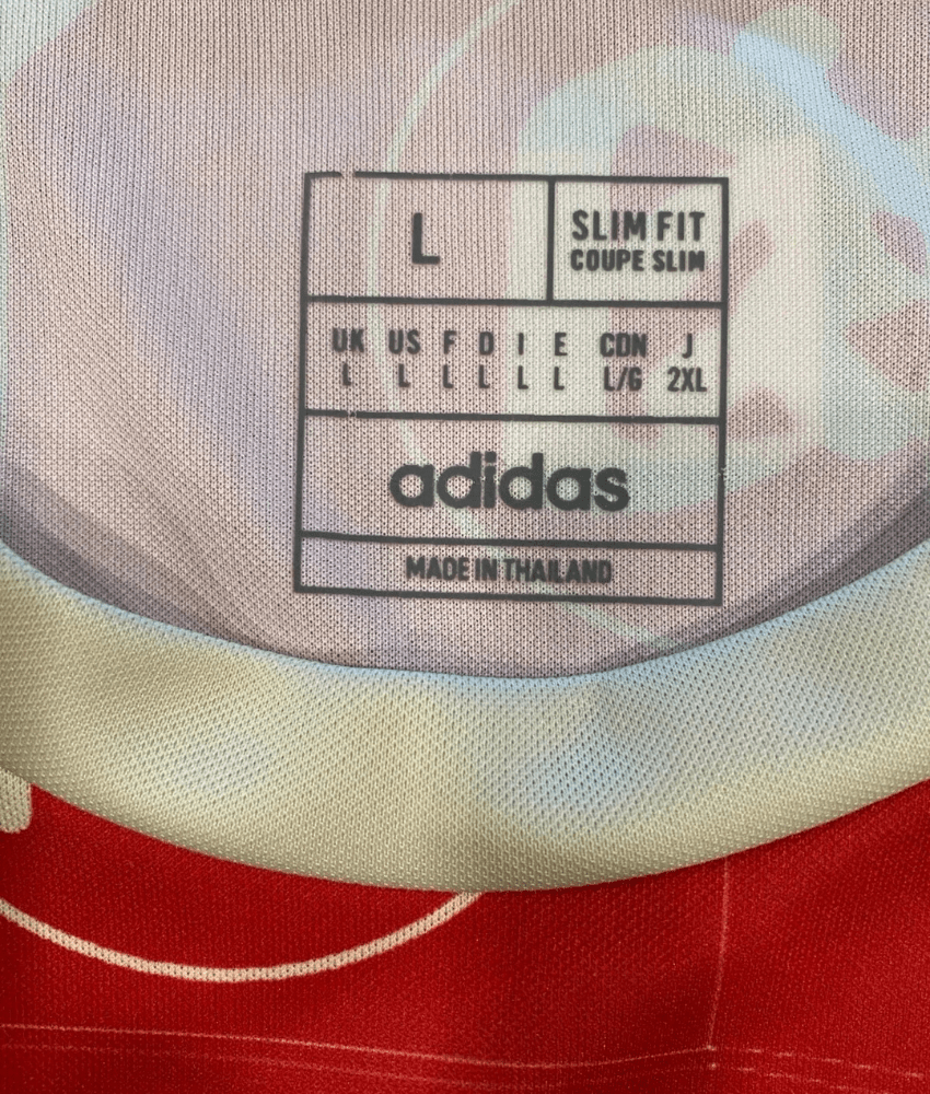 JAPAN 2023 'TOKYO' SPECIAL EDITION SHIRT